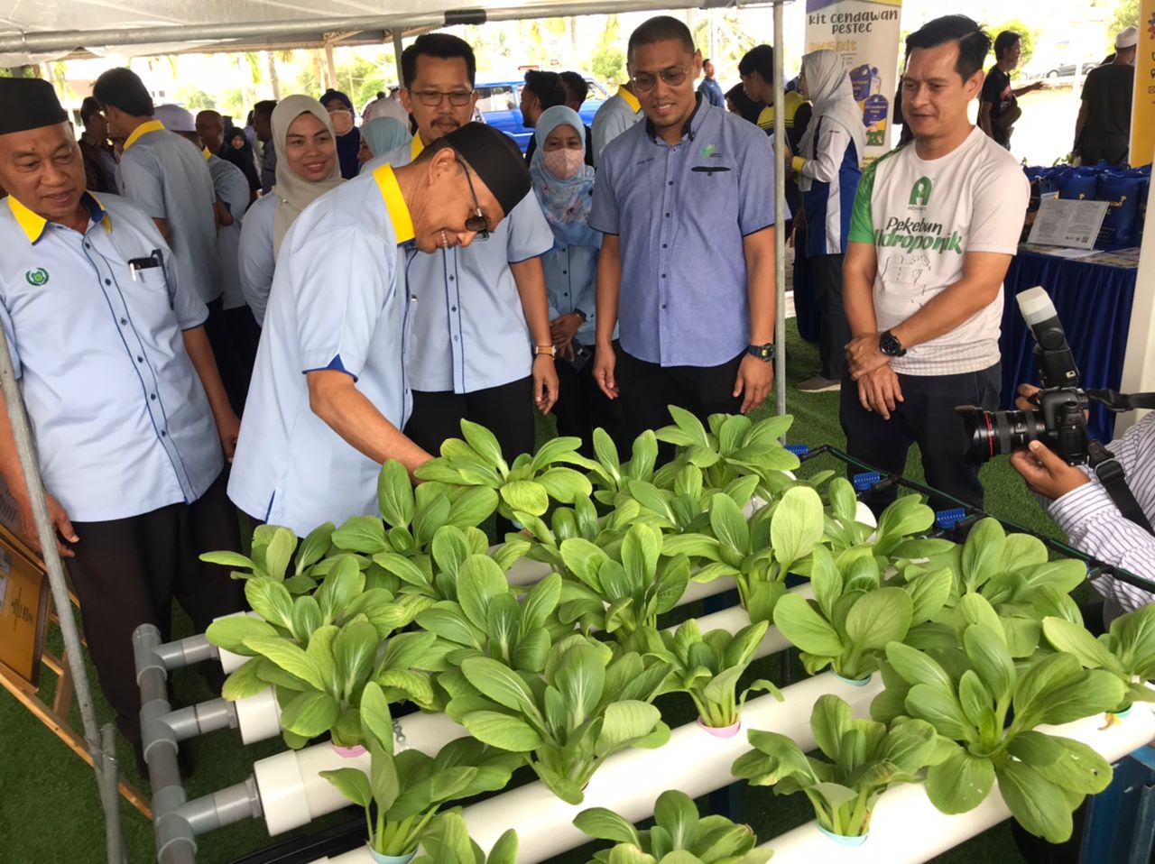 125 Peserta Sertai Projek Pertanian PEH Di Perlis Suara Merdeka