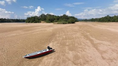 "Hanya di Chenor, bukan seluruh sungai Pahang kering," - Netizen