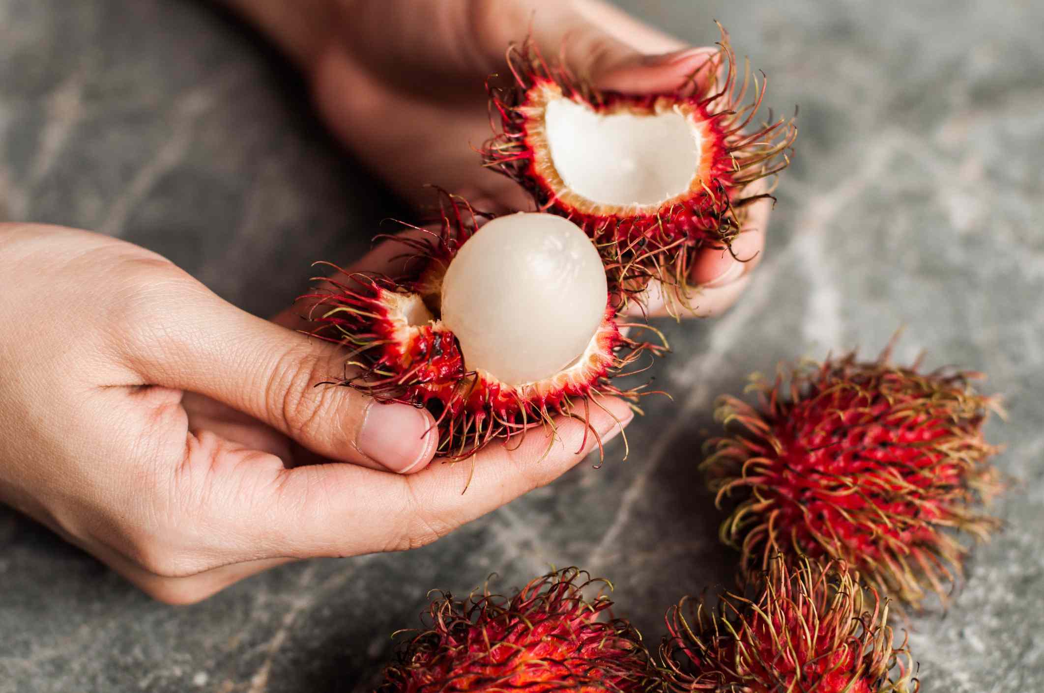 biji rambutan